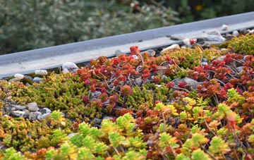 the cost of Codmore Hill green roof installation