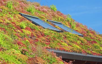Codmore Hill living roof systems