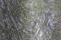 Codmore Hill fibreglass roof work